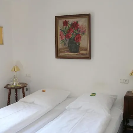 Hotel Landgasthof Alter Wirt *